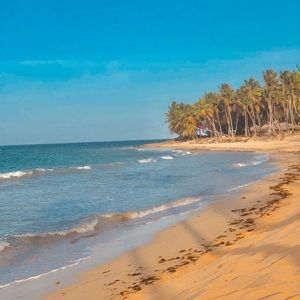 Meet your Posher, Kay